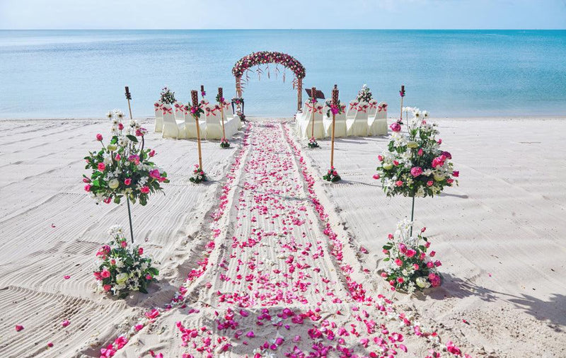 micro wedding ceremony on the beach