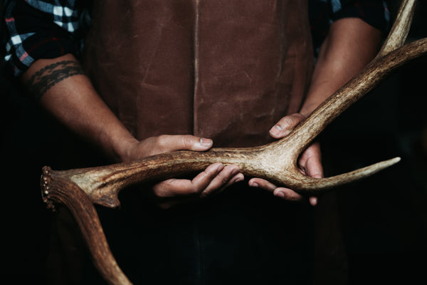 Elk Antler