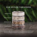 Elk-antler-variations 