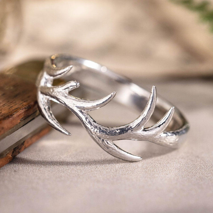 ::Shown in Silver