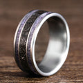     custom-titanium-ring-meteorite-amethyst-inlays