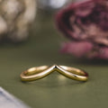 :: The Lauren Contour Band