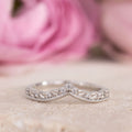:: The Catherine Contour Band 