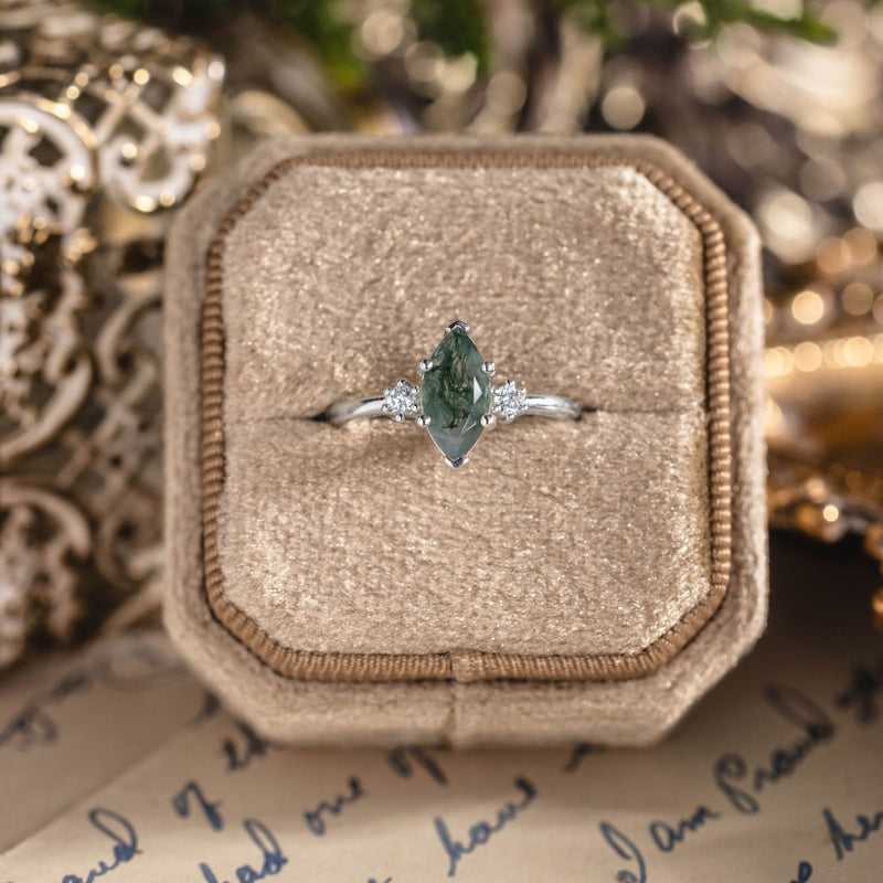 A Woodland Treasure, A Love of Your Own
