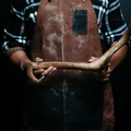 silver-elk-antler