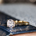 The Lily | Solitaire Round Diamond Engagement Ring with Nature-Inspired Setting