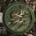 the-meadow-womens-solid-gold-antler-ring