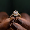 vintage-inspired-oval-diamond-engagement-ring-starburst-diamond-halo-pave-split-shank-setting-the-genevieve-rustic-and-main